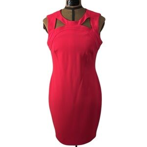 Calvin Klein hot pink dress